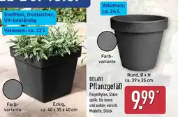 Aldi Nord BELAVI Pflanzgefäß Angebot