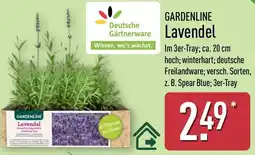 Aldi Nord GARDENLINE Lavendel Angebot