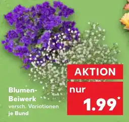 Kaufland Blumen- Beiwerk Angebot