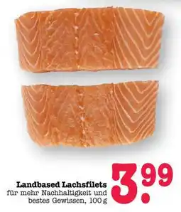 Scheck-in-Center Landbased Lachsfilets Angebot