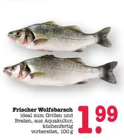 Scheck-in-Center Frischer Wolfsbarsch Angebot