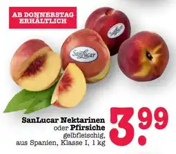 Scheck-in-Center SanLucar Nektarinen oder Pfirsiche Angebot