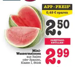 Scheck-in-Center Mini Wassermelonen Angebot