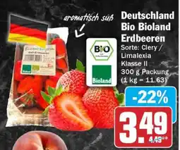 HIT Deutschland Bio Bioland Erdbeeren Angebot