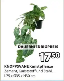 Jysk KNOPPSVANE Kunstpflanze Angebot