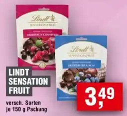 Handelshof LINDT SENSATION FRUIT Angebot