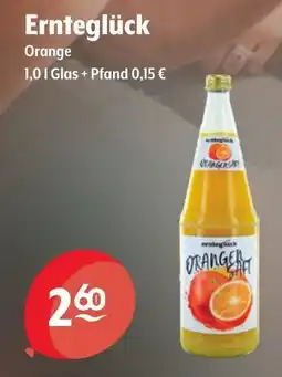 Getränke Hoffmann Ernteglück Orange Angebot
