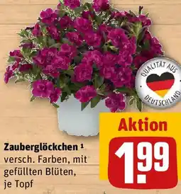 REWE Zauberglöckchen Angebot