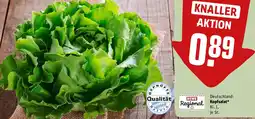 REWE Kopfsalat Angebot