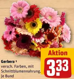 REWE Gerbera Angebot