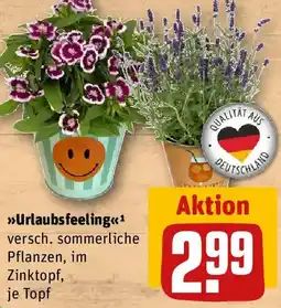 REWE Urlaubsfeeling Angebot