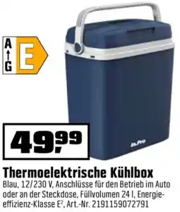 OBI Thermoelektrische Kühlbox Angebot