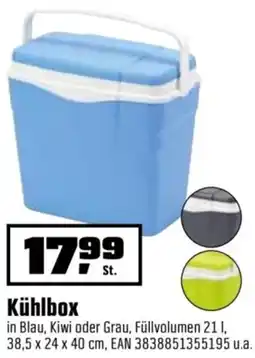 OBI Kühlbox Angebot