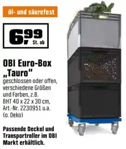 OBI OBI Euro-Box ,,Tauro" Angebot