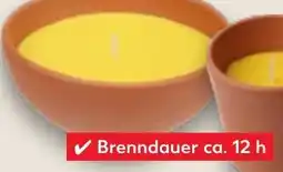 Kaufland Terra-Schale Angebot