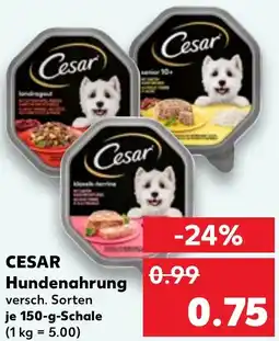 Kaufland CESAR Hundenahrung Angebot