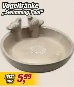 Posten Börse Vogeltränke Swimming Pool Angebot