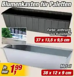 Posten Börse Blumenkasten für Paletten Angebot
