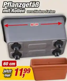 Posten Börse Pflanzgefäß mit Rollen Angebot