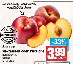 HIT Spanien Nektarinen oder Pfirsiche Angebot