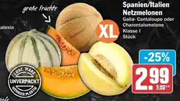 HIT Spanien/Italien Netzmelonen Angebot