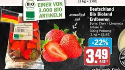 HIT Deutschland Bio Bioland Erdbeeren Angebot