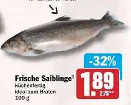 HIT Frische Saiblinge Angebot