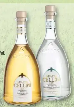trinkgut Cellini Grappa Oro Angebot