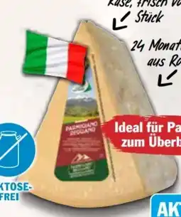AEZ Parmigiano Reggiano Angebot