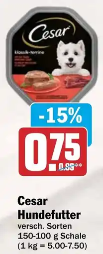 HIT Cesar Hundefutter Angebot