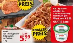 Multi Markt Bauern Gut Gyros Angebot