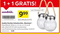 XXXLutz Ambia garden solarleuchte narzisse Angebot