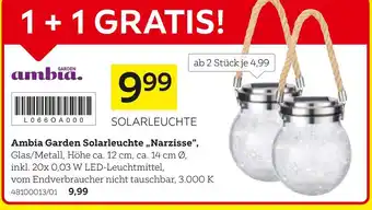 Ambia garden solarleuchte narzisse