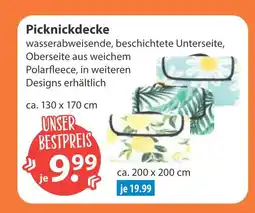 V Markt Picknickdecke ca. 130 x 170 cm Angebot