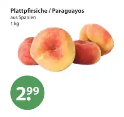 V Markt Plattpfirsiche / paraguayos Angebot