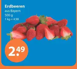 V Markt Erdbeeren Angebot