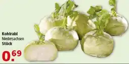 Multi Markt Kohlrabi Angebot