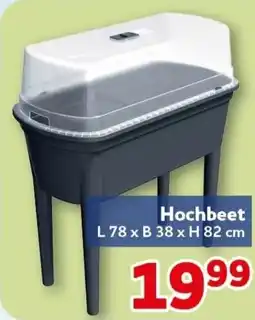 CENTERSHOP Hochbeet Angebot