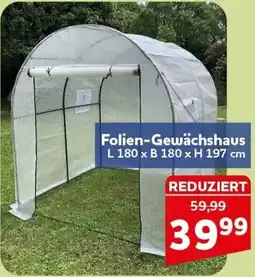 CENTERSHOP Folien-Gewächshaus Angebot