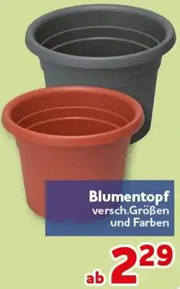 CENTERSHOP Blumentopf Angebot