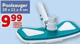 CENTERSHOP Poolsauger Angebot