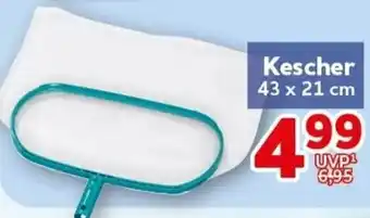 CENTERSHOP Kescher Angebot