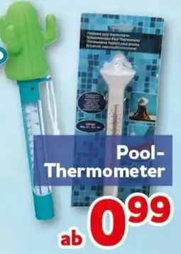 CENTERSHOP Pool Thermometer Angebot