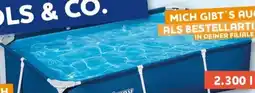 CENTERSHOP Bestway Framepool STEEL PRO Angebot