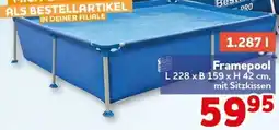 CENTERSHOP Bestway Framepool Angebot