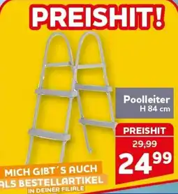 CENTERSHOP Bestway Poolleiter Angebot