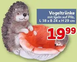 CENTERSHOP Vogeltränke Angebot
