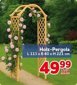 CENTERSHOP Holz-Pergola Angebot