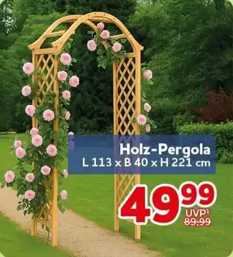 CENTERSHOP Holz-Pergola Angebot