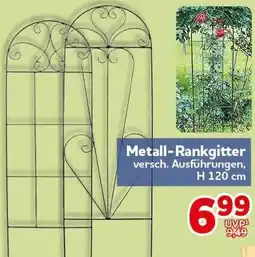 CENTERSHOP Metall-Rankgitter Angebot